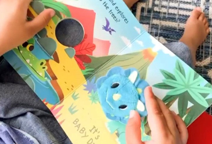 Dinosaurs - Little Hippo Books