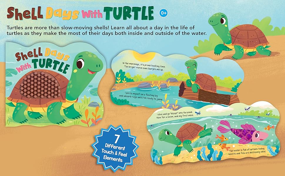 Turtle Shell Book Shell Days with Turtle - Little Hippo Books