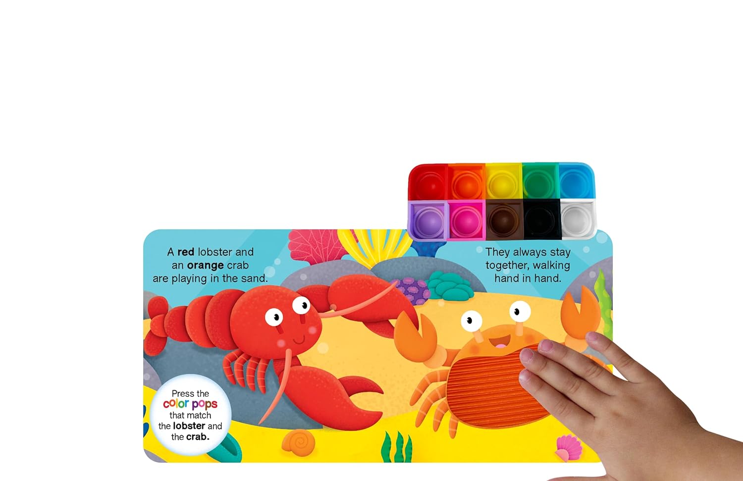 little hippo books fidgimals touch and feel learning  colors ocean animals