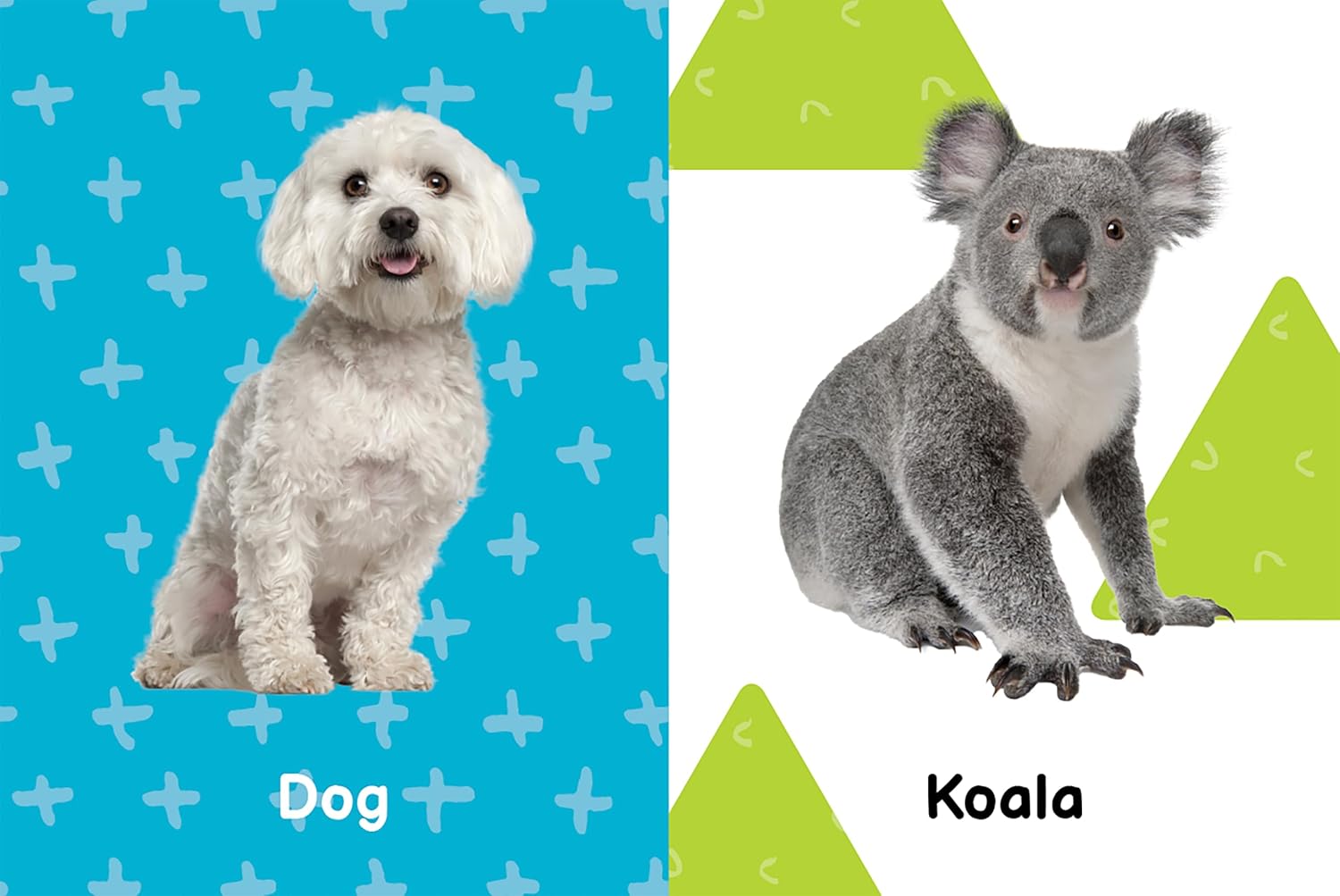 little hippo books brilliant baby first words animals for toddlers