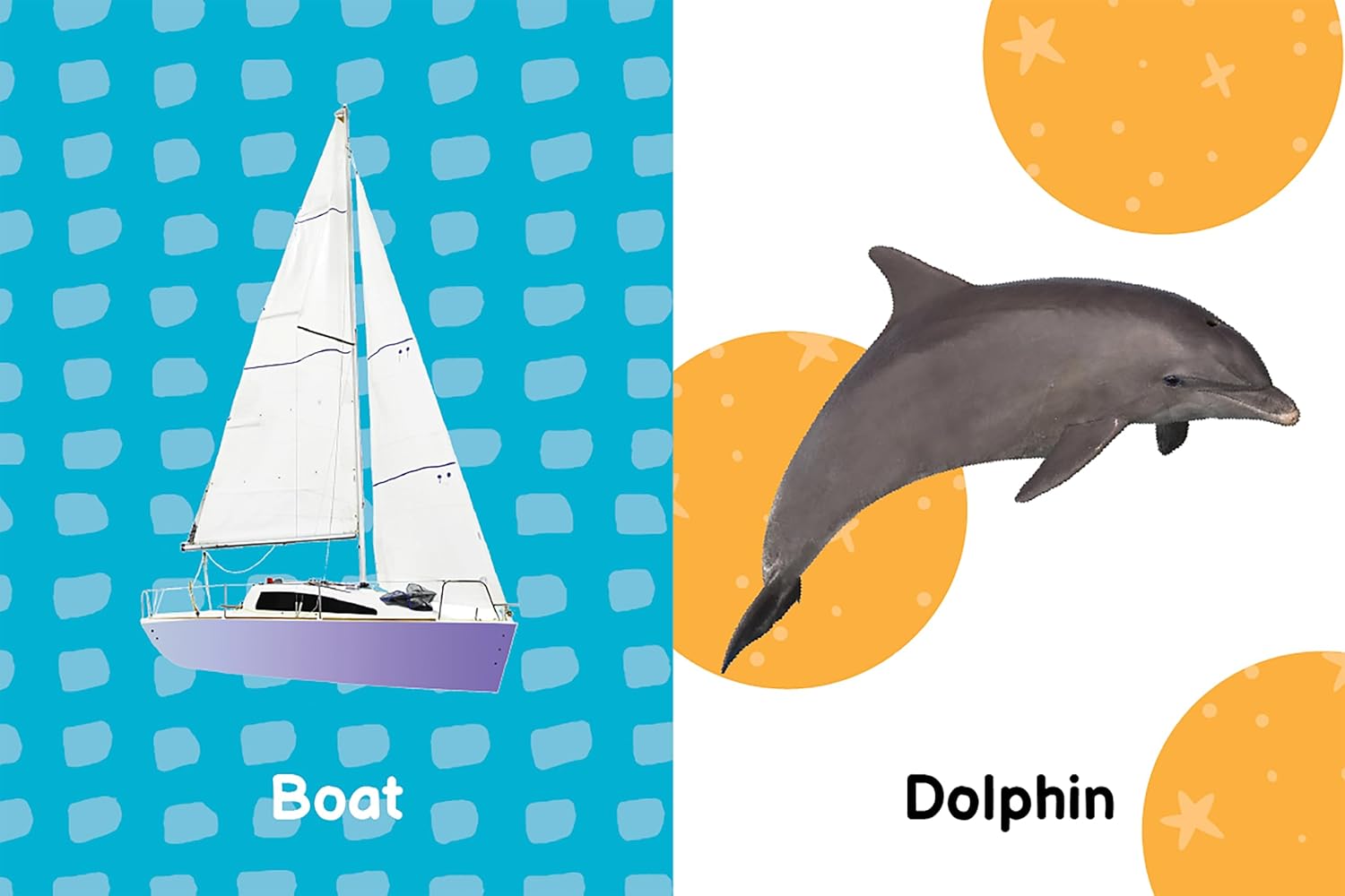 little hippo books ocean first words for toddlers