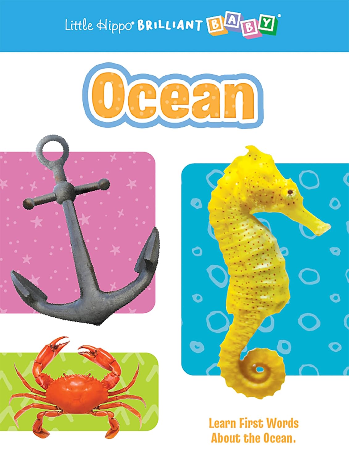 little hippo books ocean first words for toddlers