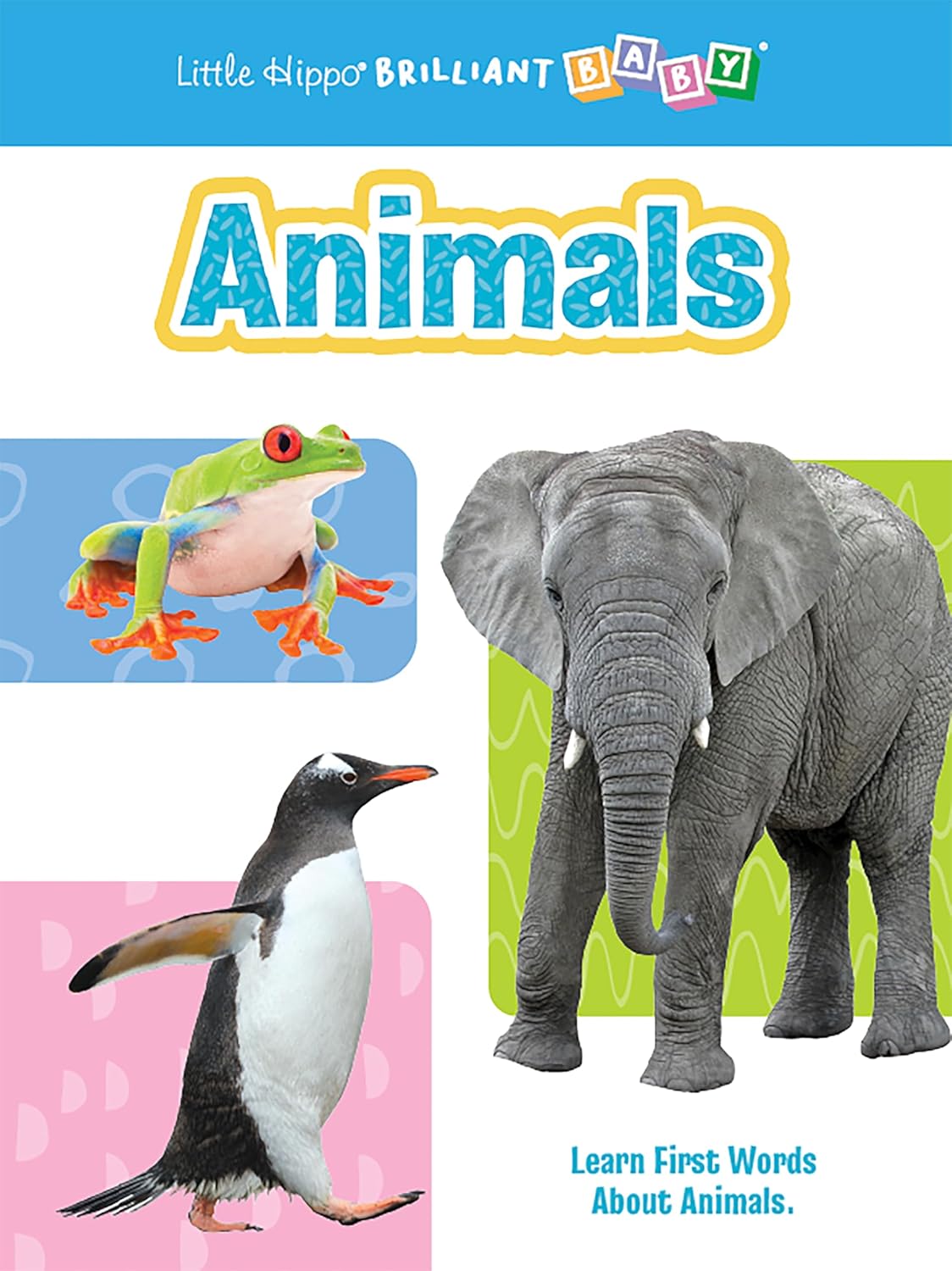 little hippo books brilliant baby first words animals for toddlers