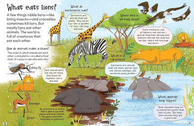 little hippo books educational questions and answers about science