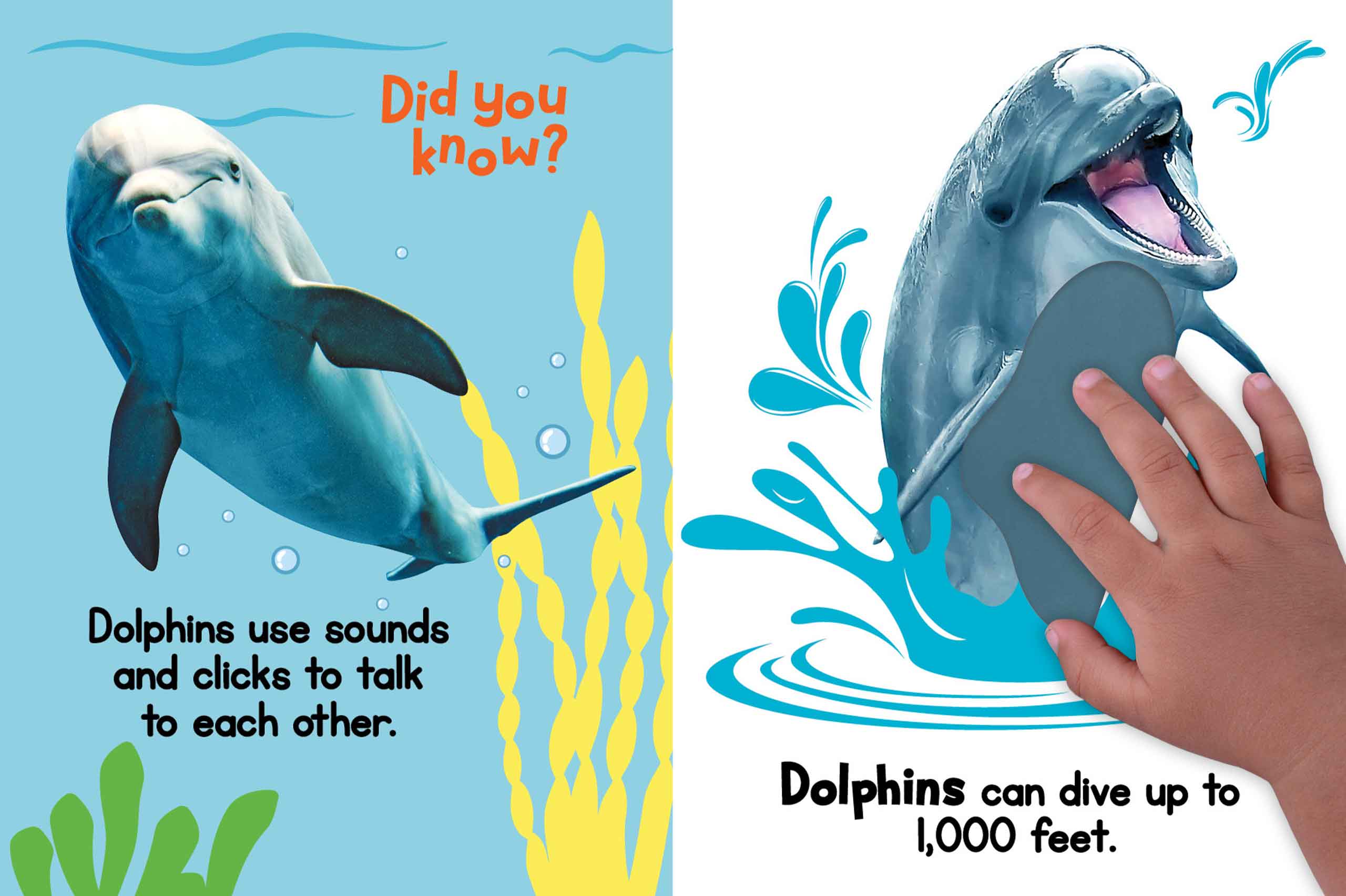 Touch and Fell Ocean Friends by Little Hippo Books