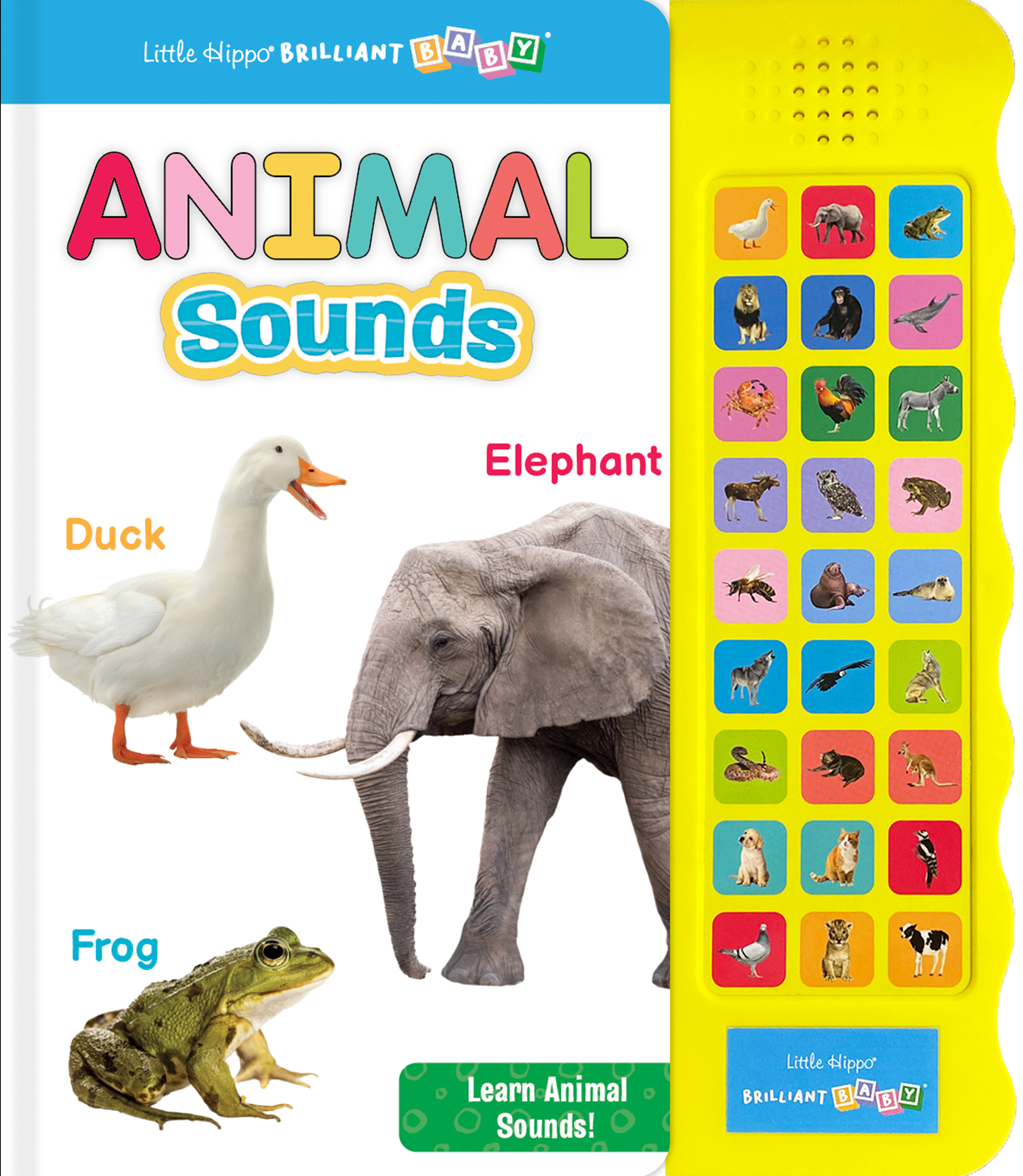 little hippo books listen and learn animal book with sound