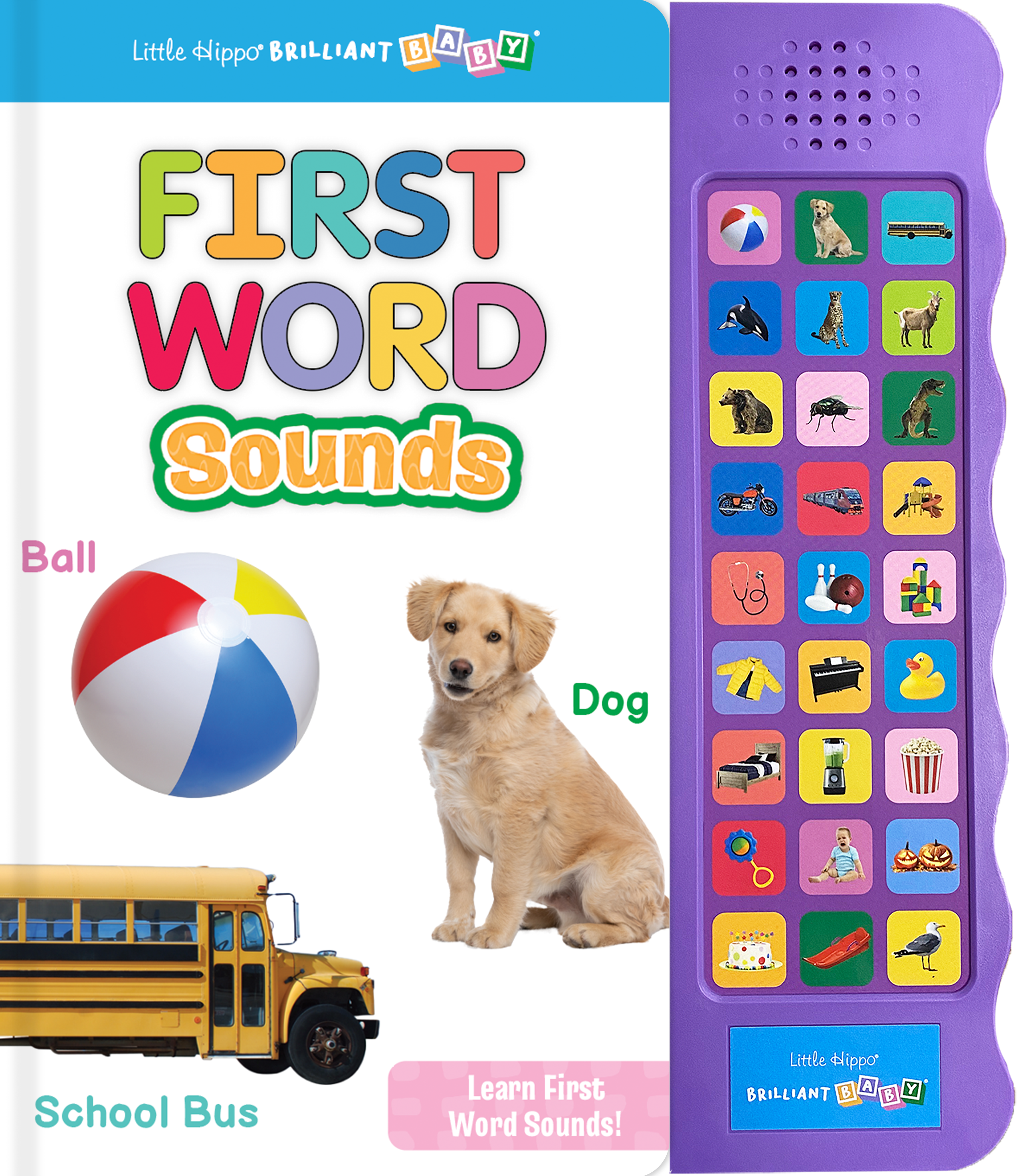little hippo books listen and learn first words book with sound