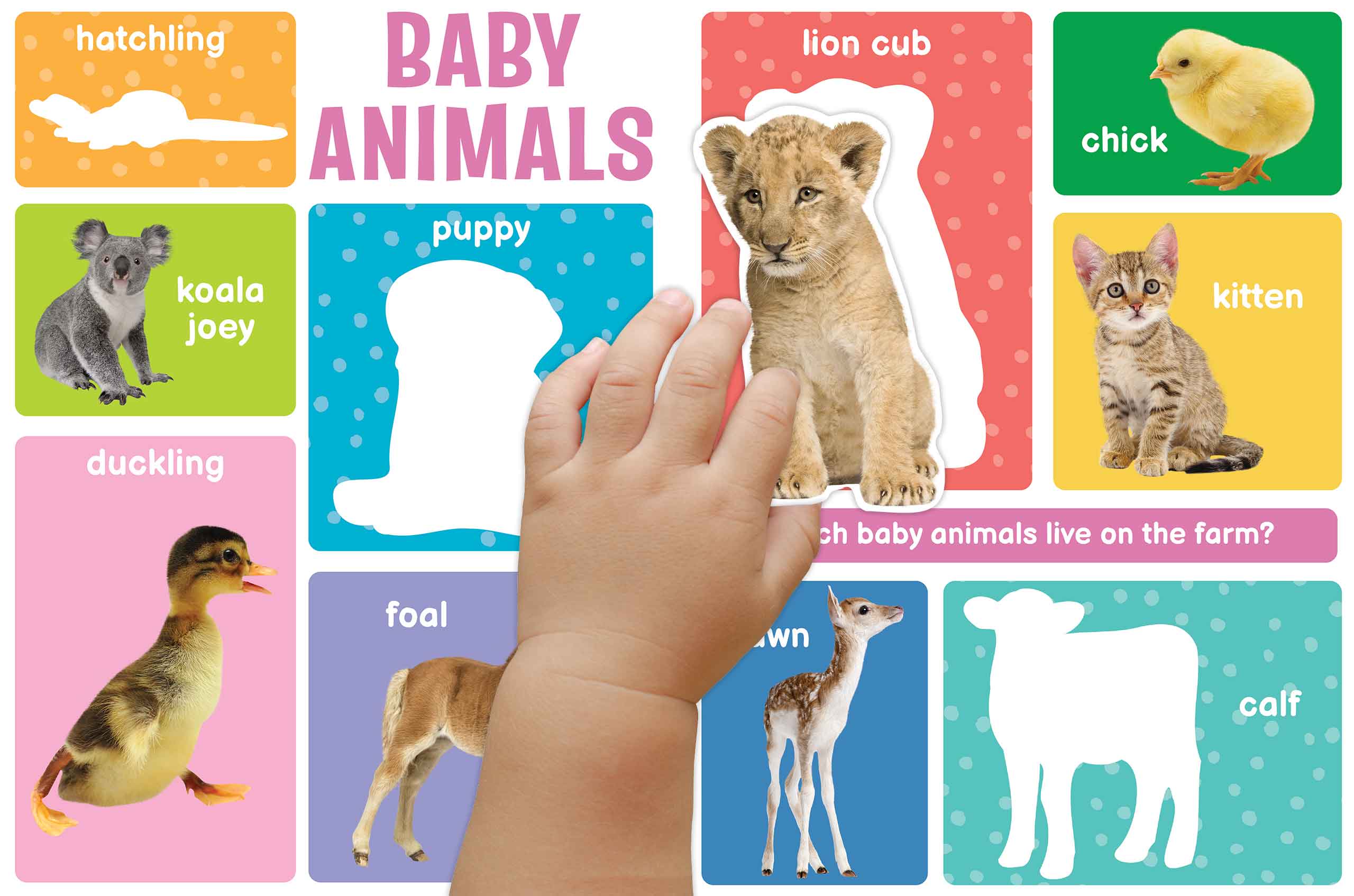 Big Sticker Book of Animals