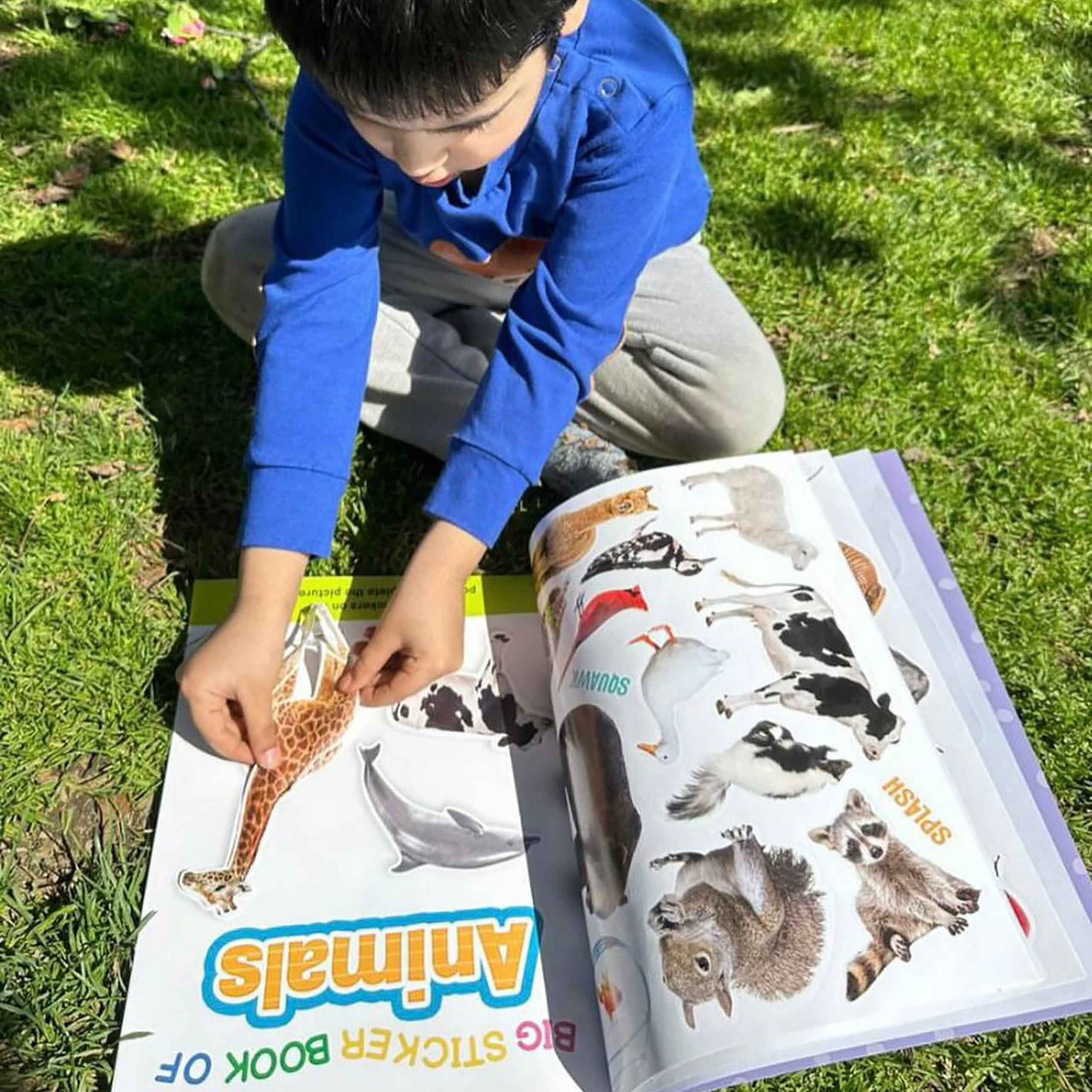 Big Sticker Book of Animals