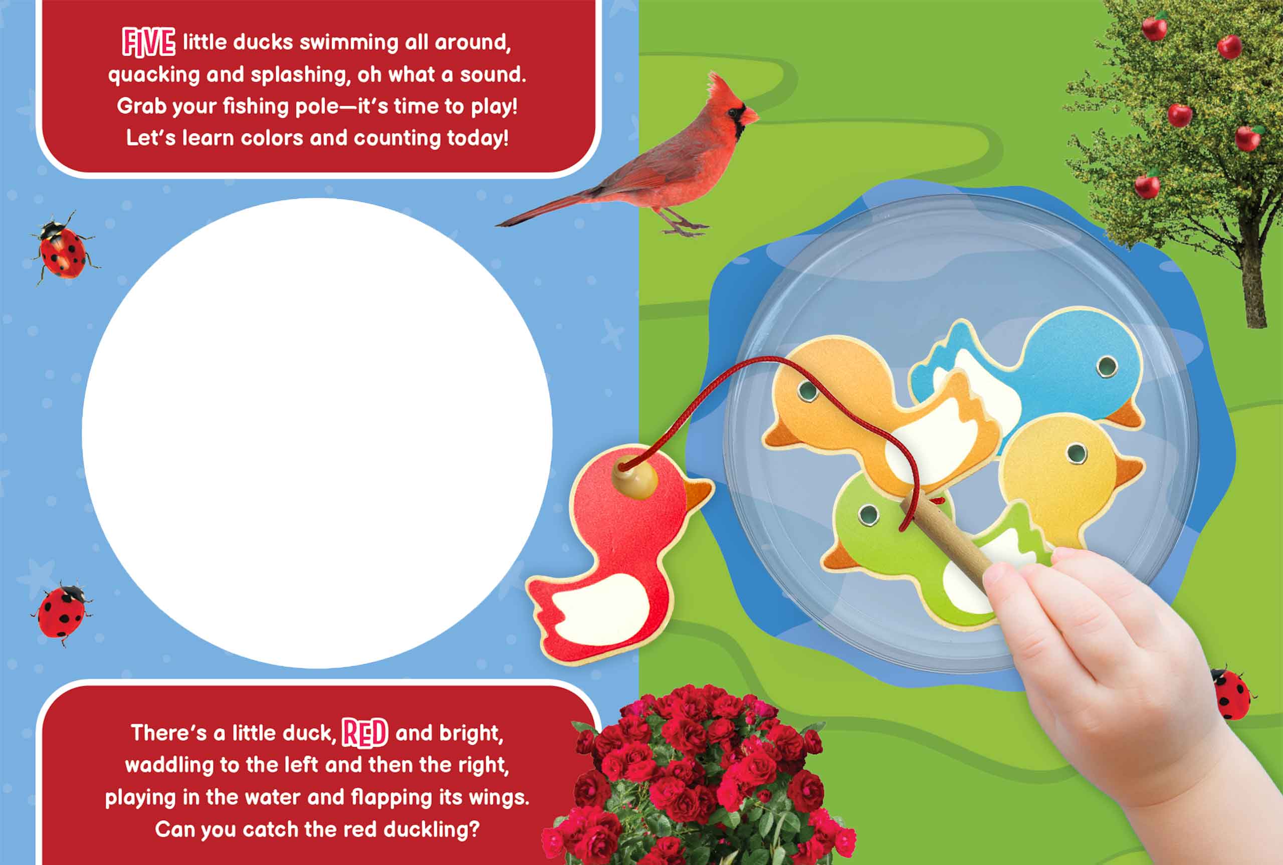 5 Little Ducks Interactive Board Book for Kids