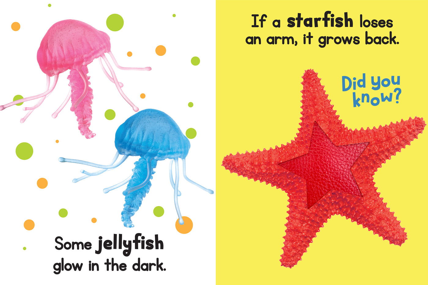 little hippo books ocean adventures book bundle