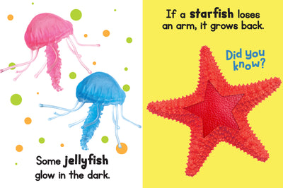 little hippo books ocean adventures book bundle
