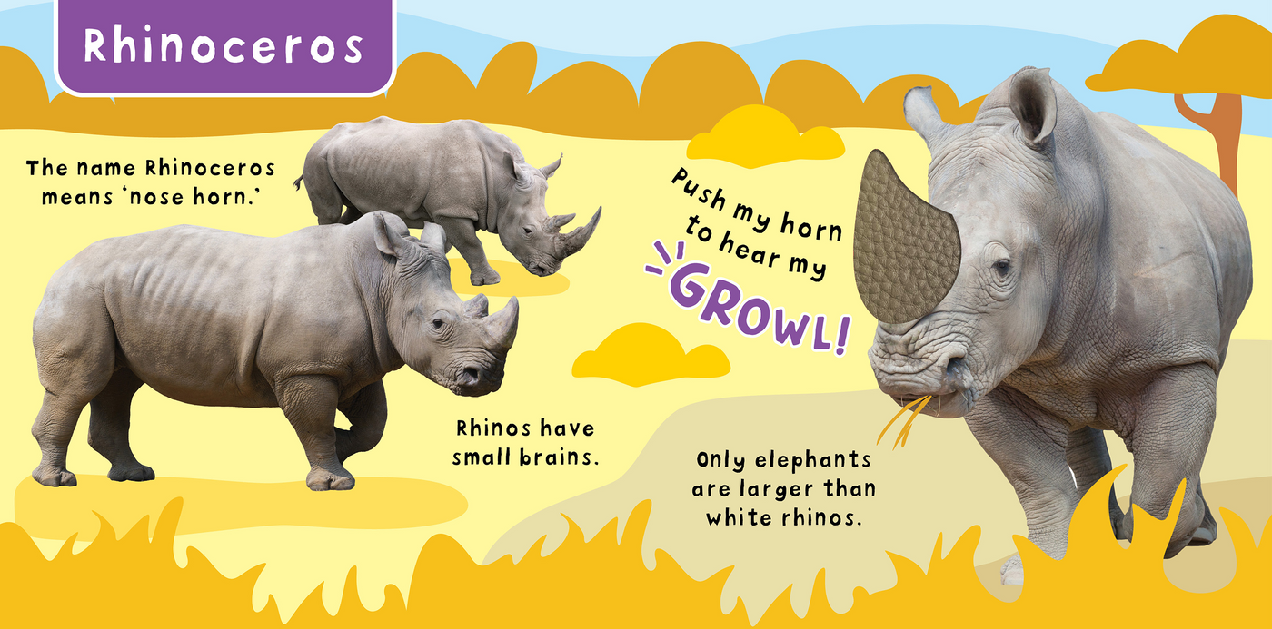 little hippo books touch and feel sound wild animals
