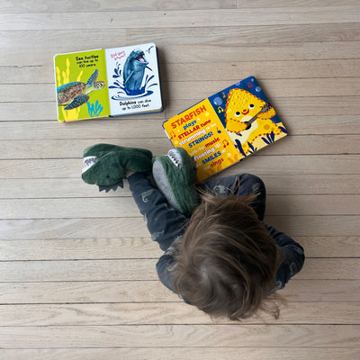 little hippo books ocean adventures book bundle