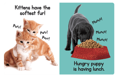 Touch and Feel Puppies and Kittens by Little Hippo Books